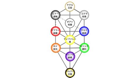 鉄樹|鉄樹とは？ わかりやすく解説